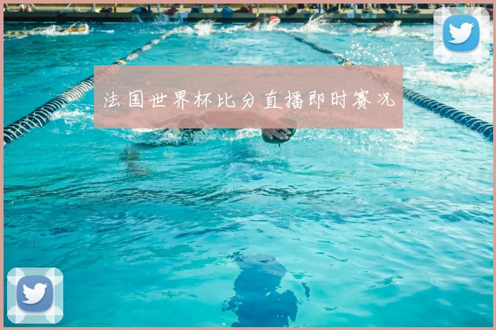 法国世界杯比分直播即时赛况