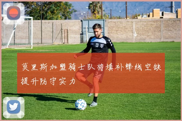 莫里斯加盟骑士队将填补锋线空缺提升防守实力