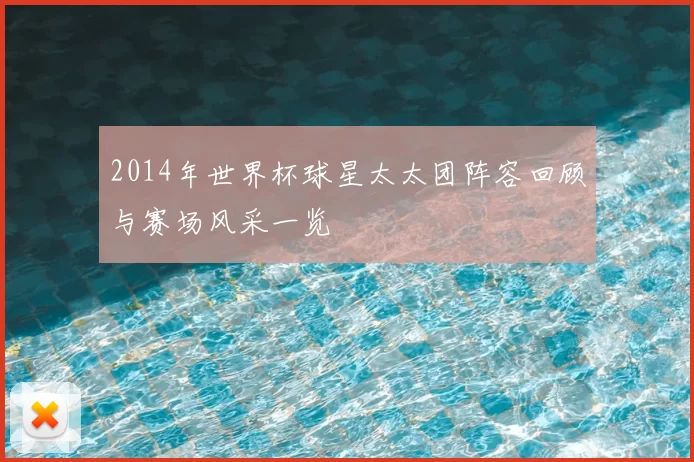 2014年世界杯球星太太团阵容回顾与赛场风采一览