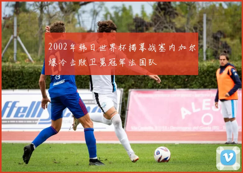 2002年韩日世界杯揭幕战塞内加尔爆冷击败卫冕冠军法国队