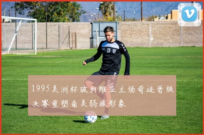 1995美洲杯玻利维亚主场奇迹晋级决赛重塑南美弱旅形象