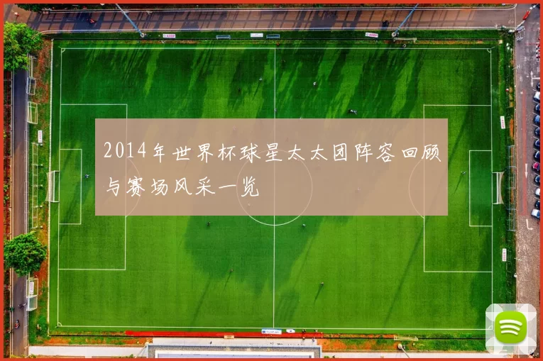 2014年世界杯球星太太团阵容回顾与赛场风采一览