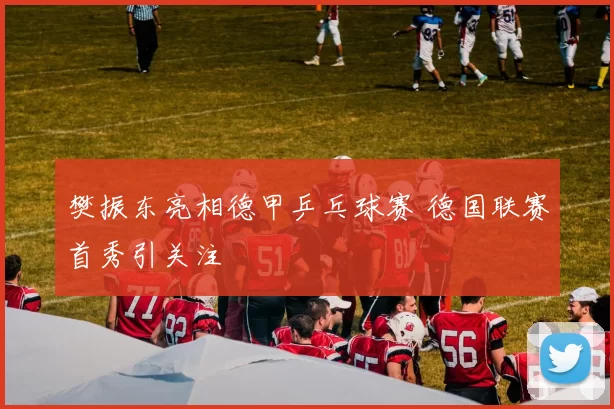 樊振东亮相德甲乒乓球赛 德国联赛首秀引关注