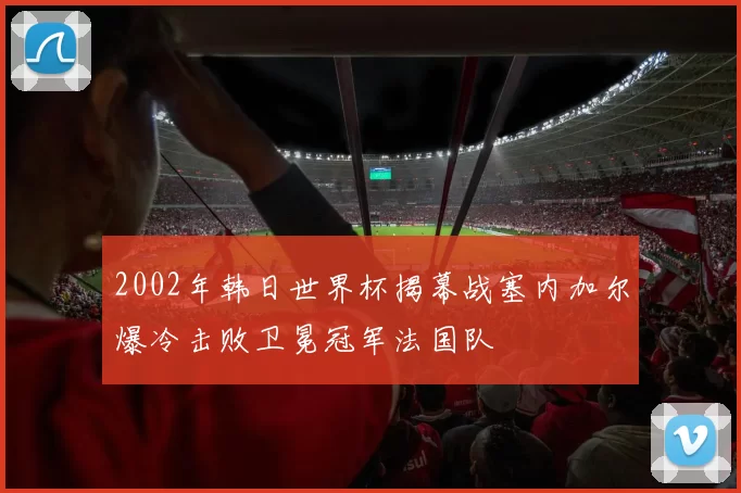 2002年韩日世界杯揭幕战塞内加尔爆冷击败卫冕冠军法国队